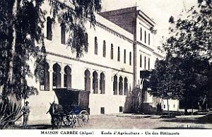 ALGER - MAISON-CARREE - Ecole Nationale d'Agriculture (7)